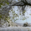�as v�noc je �asem nalad�n� se. vzh�ru do poh�dek...