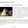 laskavost k sob�